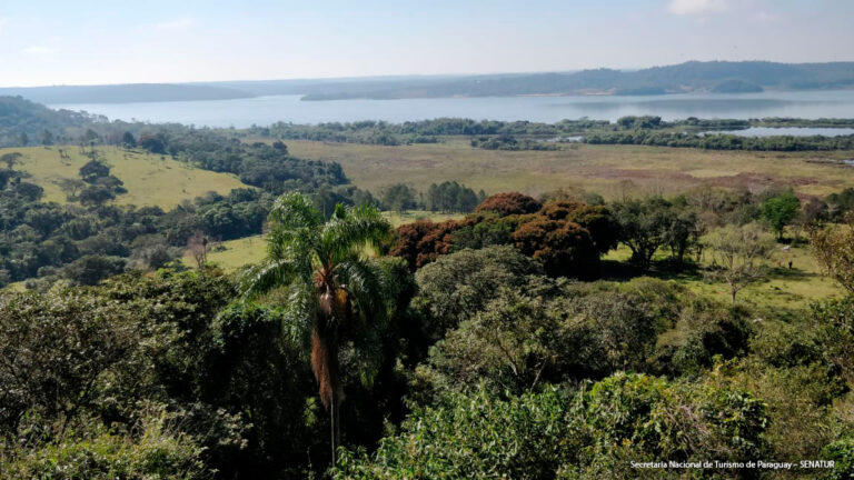 83 2 Parque Ecologico1 1 768x432