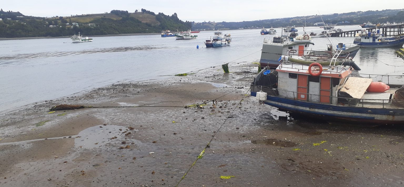 20230119 162408 1536x710