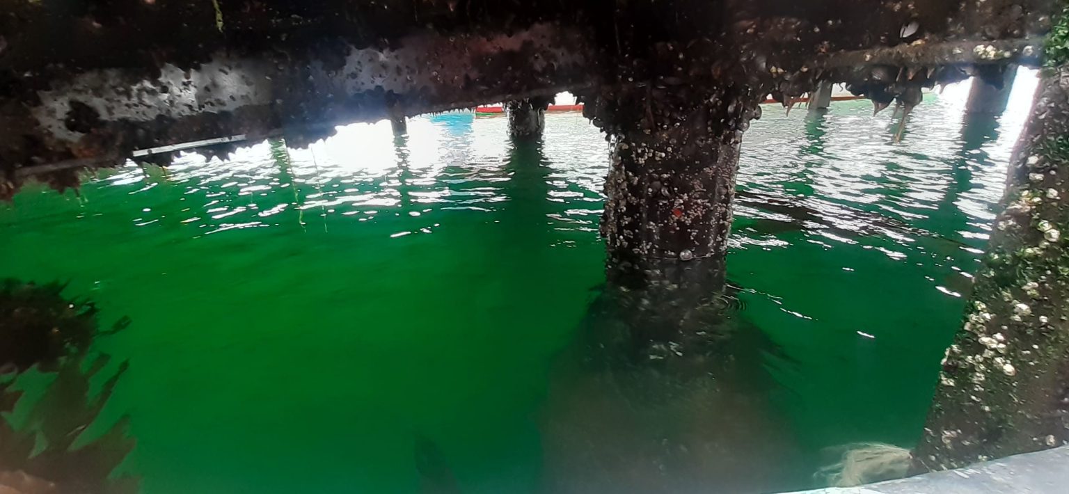 20230119 163134 1536x710