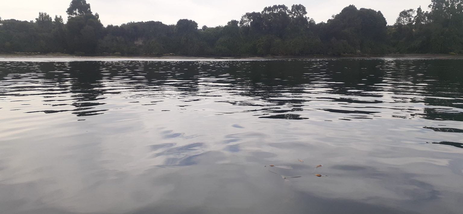 20230119 171013 1536x710