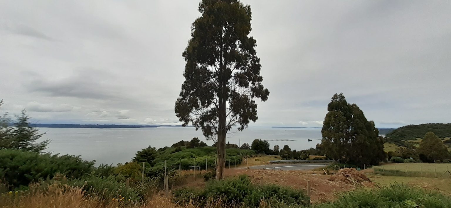 20230120 135530 1536x710