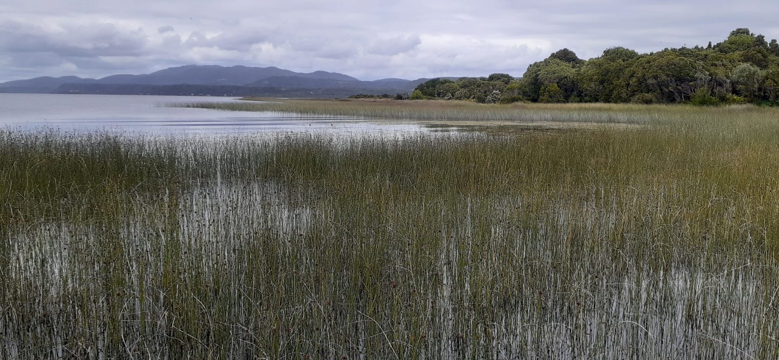 Humedales Orientales de Chiloe1 1536x710
