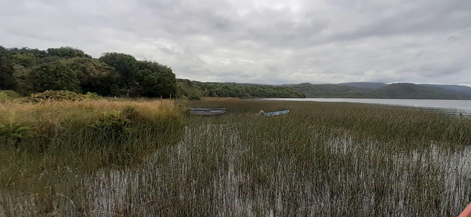Humedales Orientales de Chiloe2 1536x710