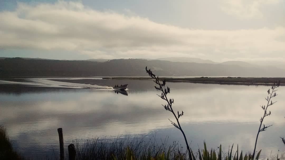 Humedales Orientales de Chiloe5