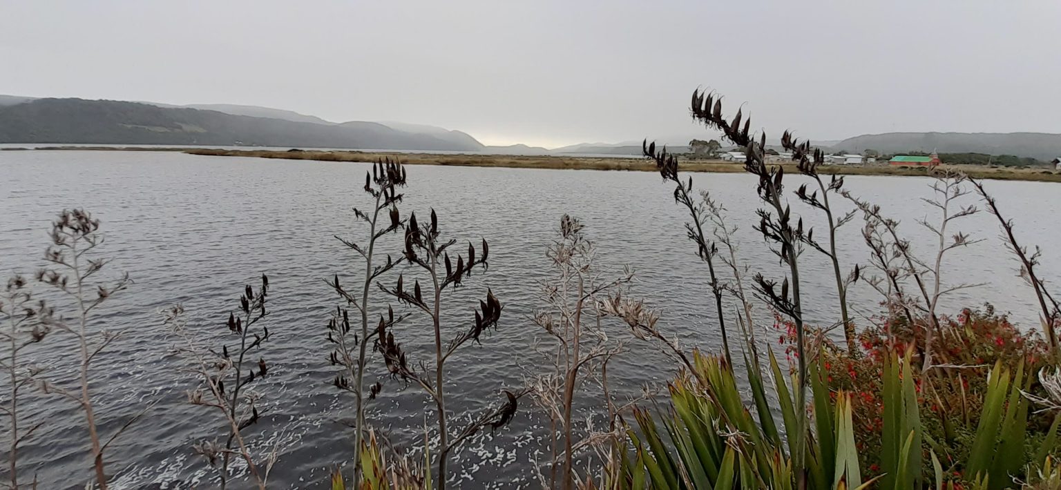 Humedales Orientales de Chiloe6 1536x710