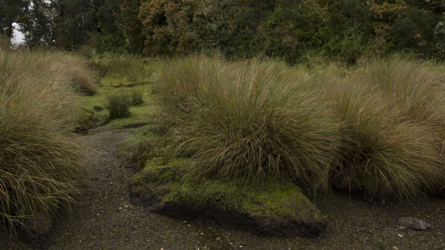 IslaChala10 1536x864