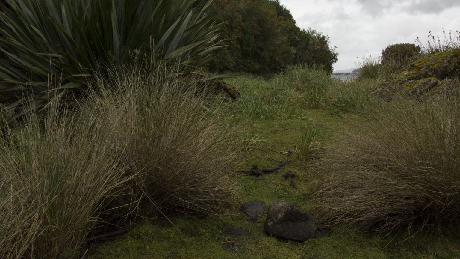 IslaChala13 1536x864