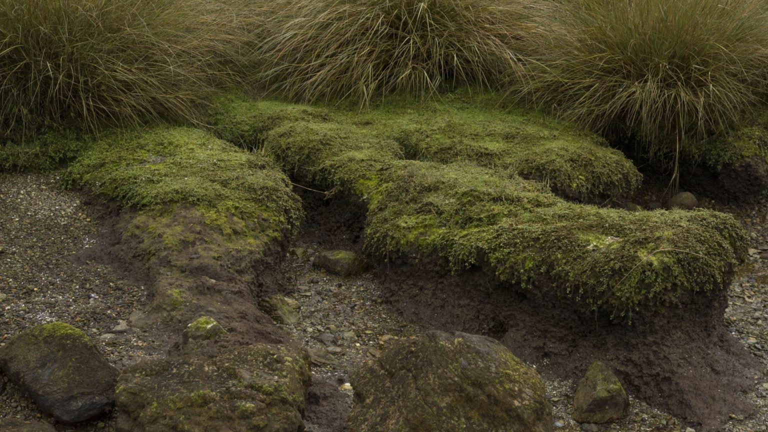 IslaChala16 1536x864