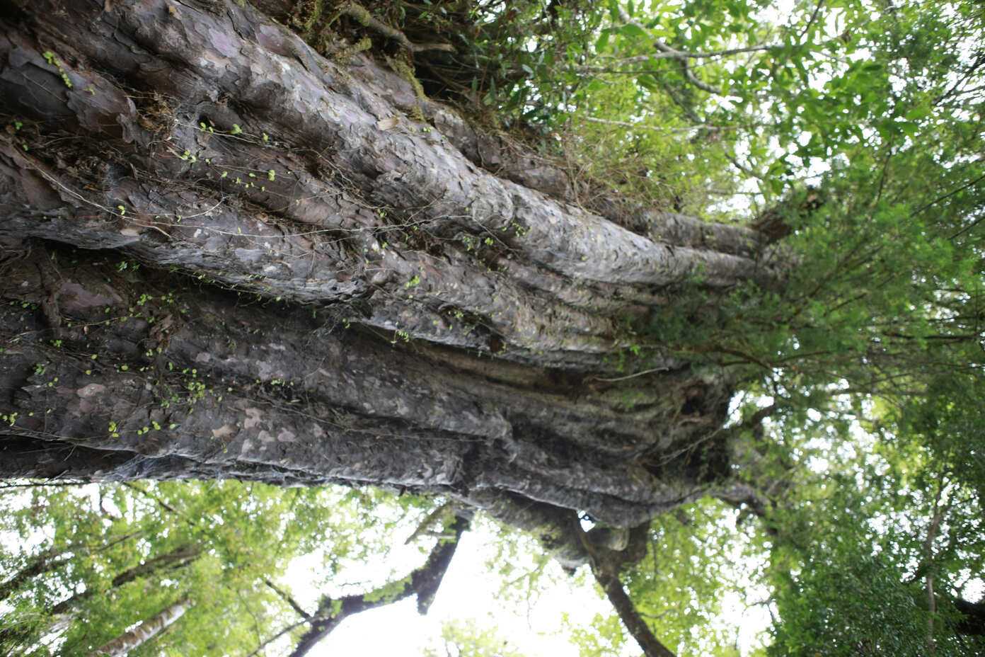 Parques deareas Protegidas de Naturaleza Privados3