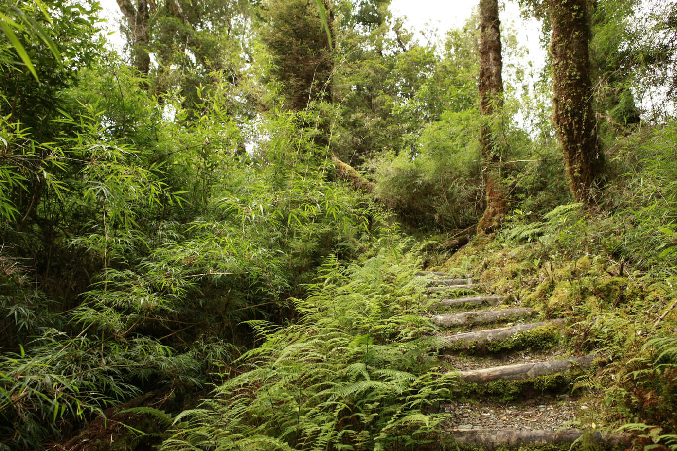 Parques deareas Protegidas de Naturaleza Privados4
