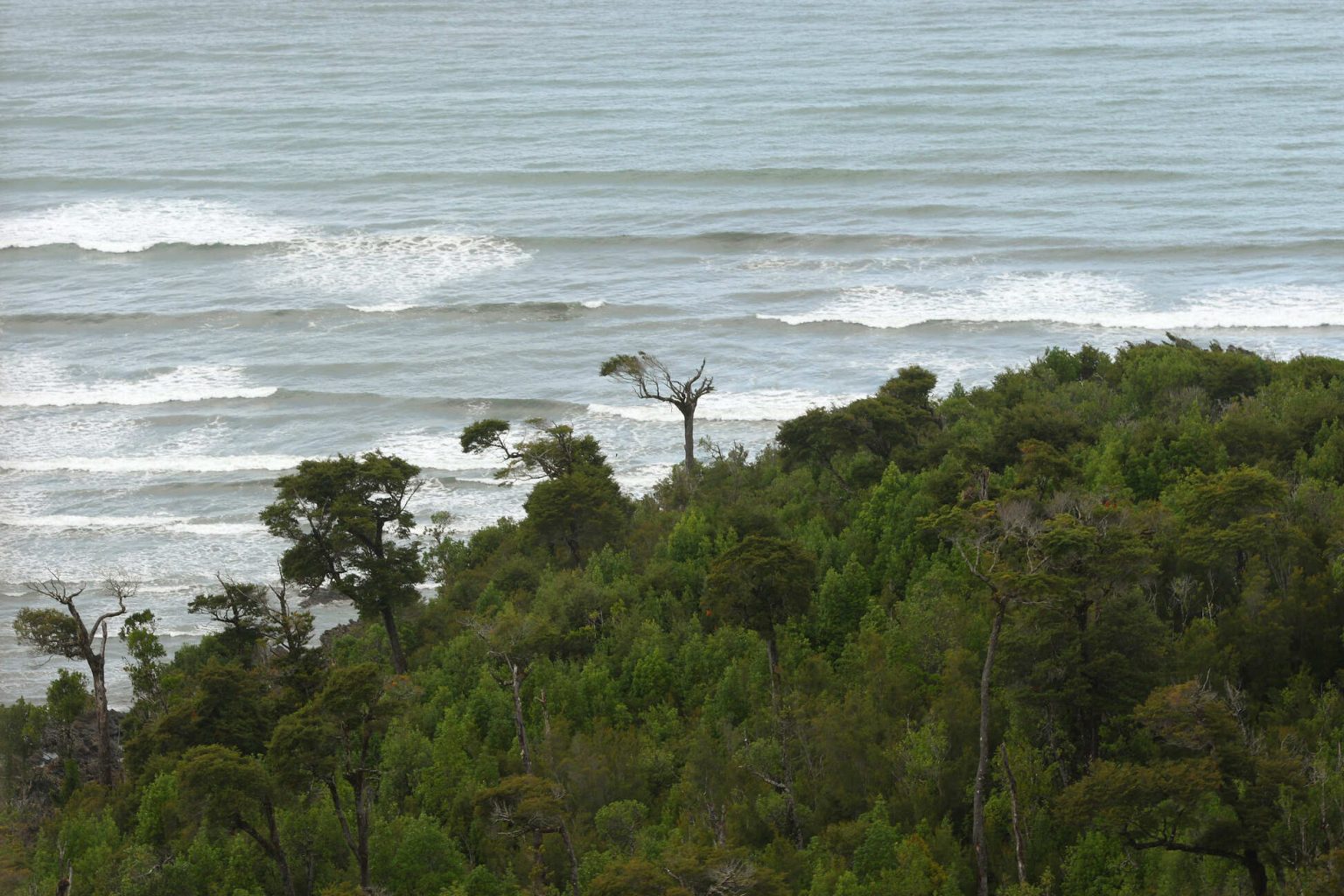Parques deareas Protegidas de Naturaleza Privados8 1536x1024