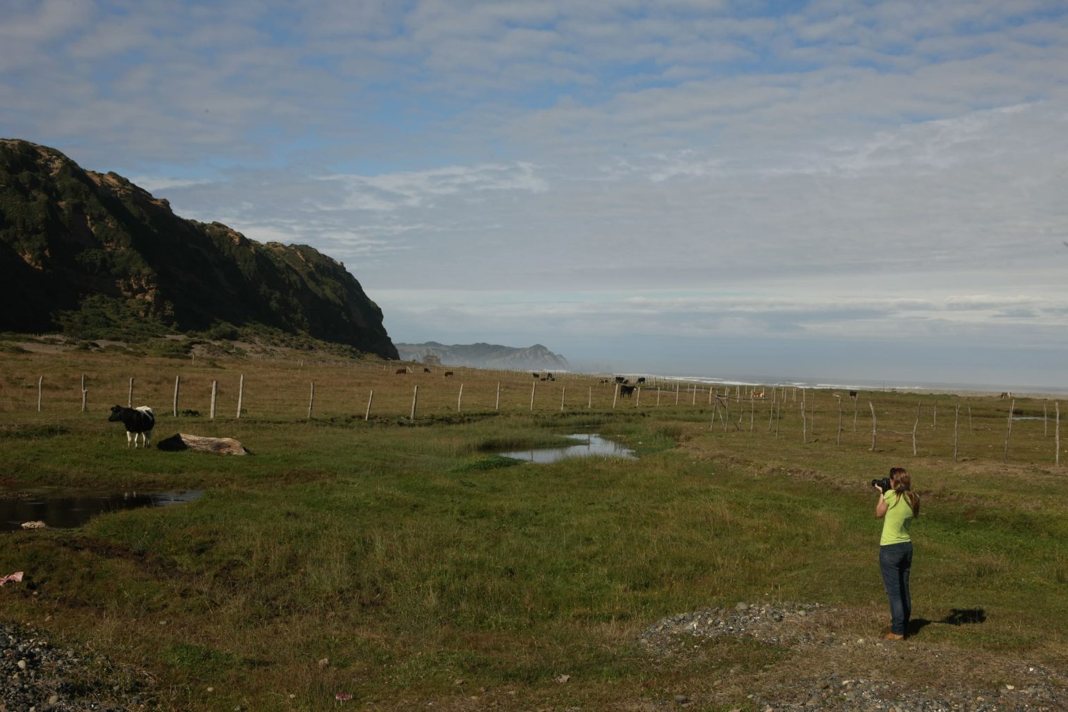 TurberasdeChiloe1 1536x1024