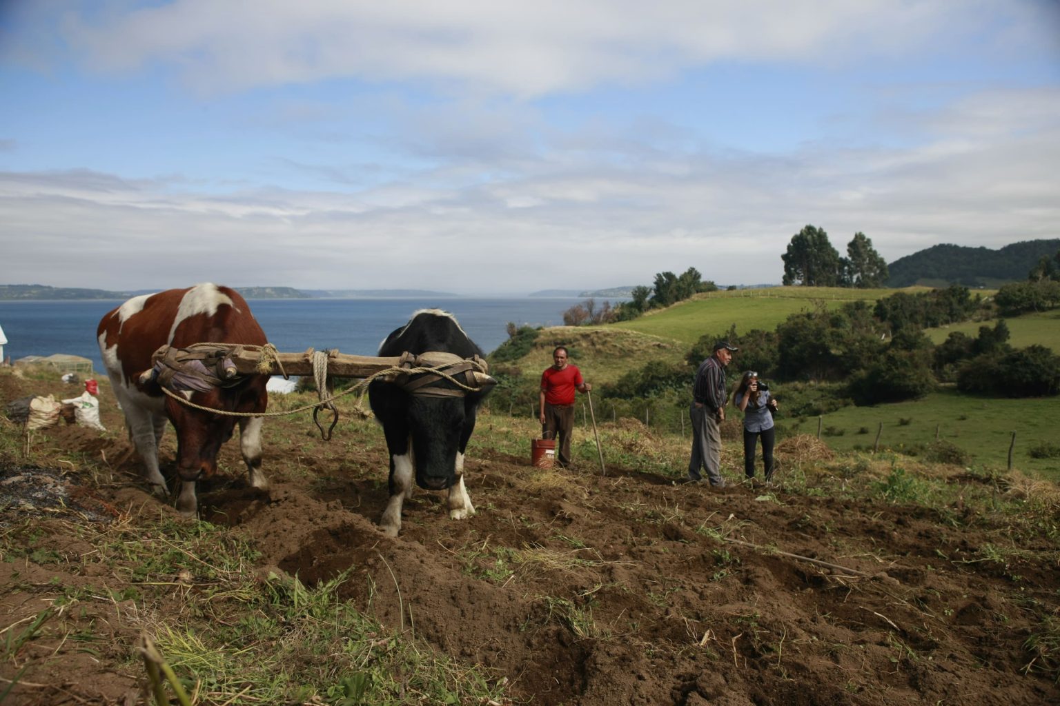 circuito de localidades colo a dalcahue1 1536x1024