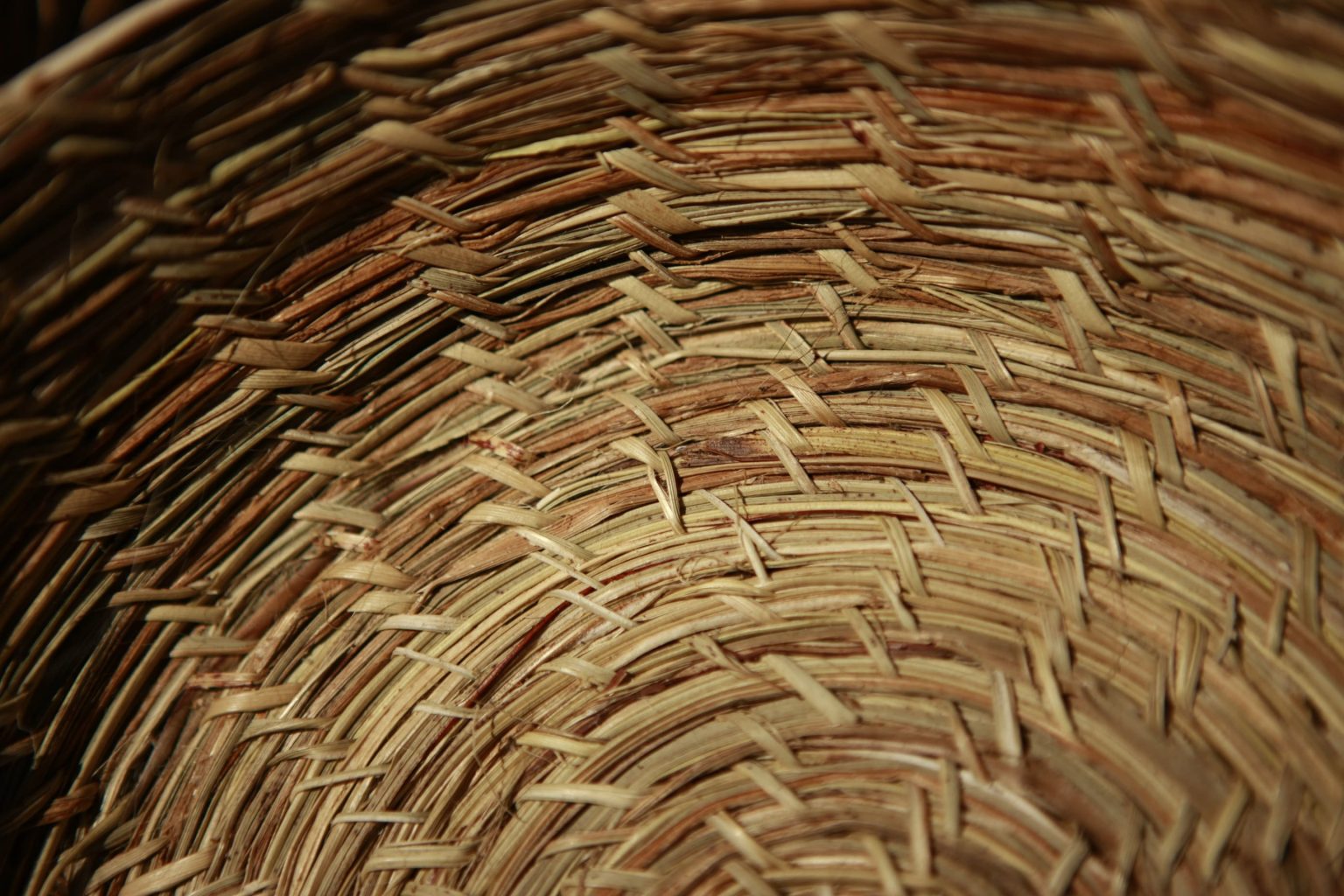 circuito de localidades colo a dalcahue8 1536x1024