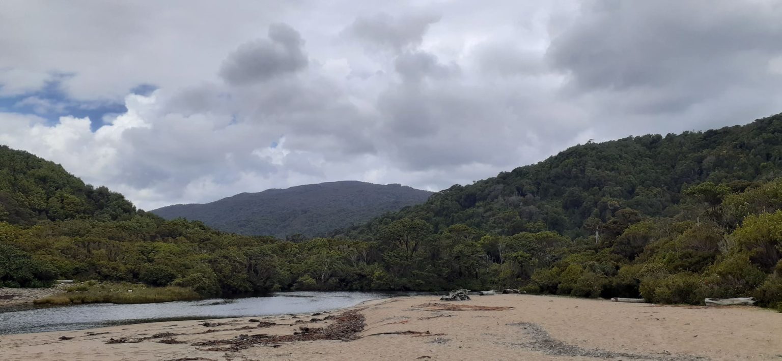 playacolecole1 1536x710