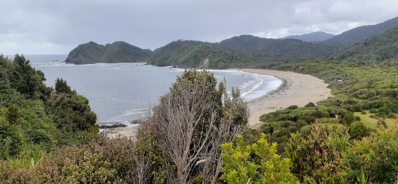 playacolecole2 1536x710